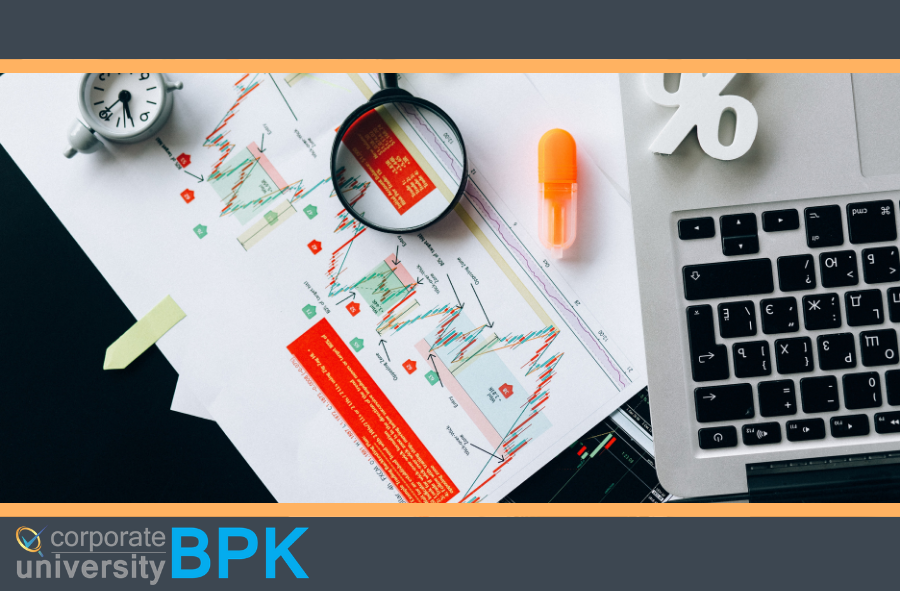 Pengantar Pemeriksaan Kinerja